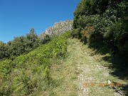 03 DIREZIONE MONTE GRONA